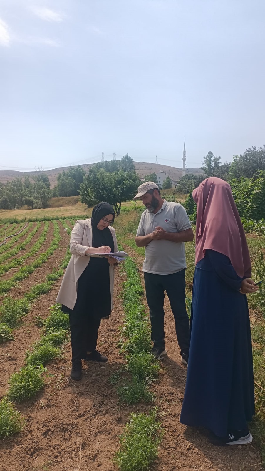 “Bayburt Tarhunu”na Yönelik İlk Denetim Üniversitemiz Tarafından Gerçekleştirildi